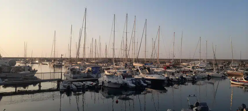 20240719_065707.jpg_resize