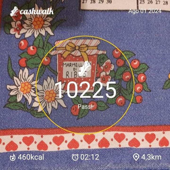 CashWalk_share_capture_20240801_d9c87240-6429-4b29-8e64-b98845c8