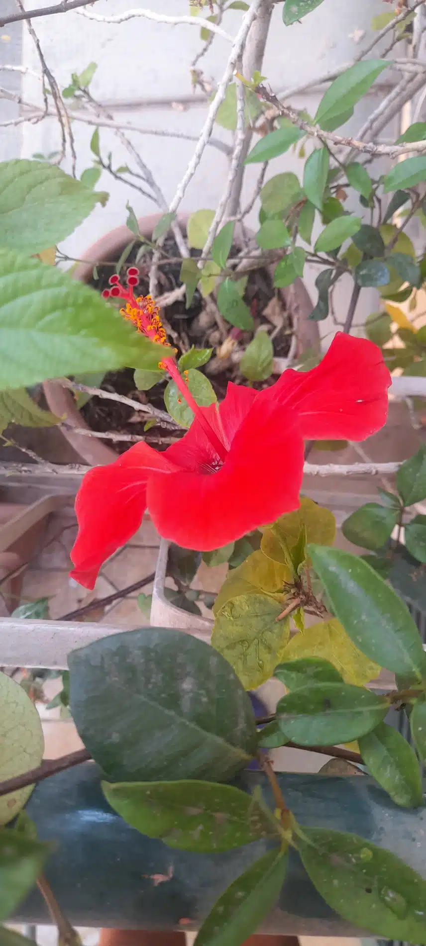 20240718_155907.jpg_resize