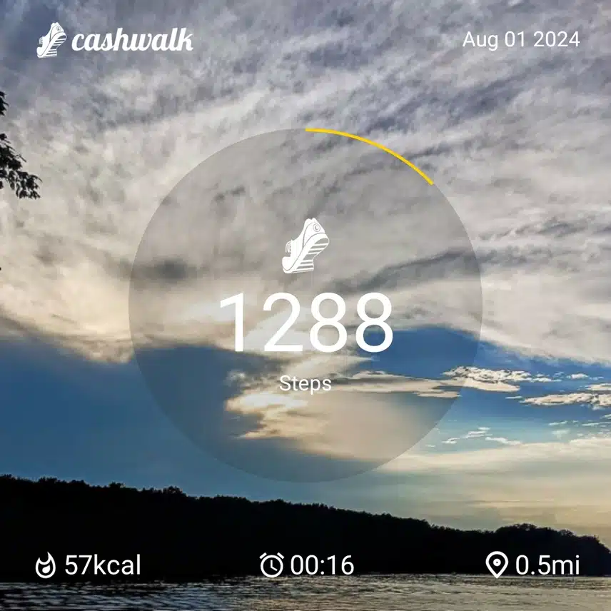 CashWalk_share_capture_20240801_639a2f9d-48f8-480e-a63e-06c91607