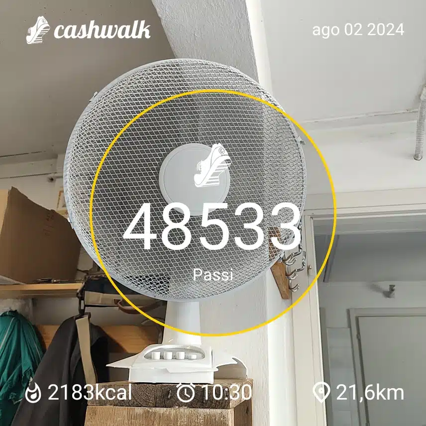 CashWalk_share_capture_20240802_0633104f-b4a6-4292-a423-d115dcbd