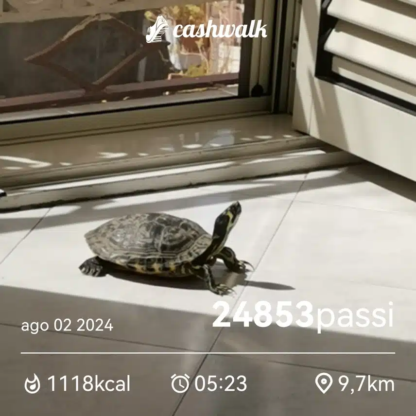 CashWalk_share_capture_20240802_72d7a242-ae76-45c4-8c2e-0260ba85