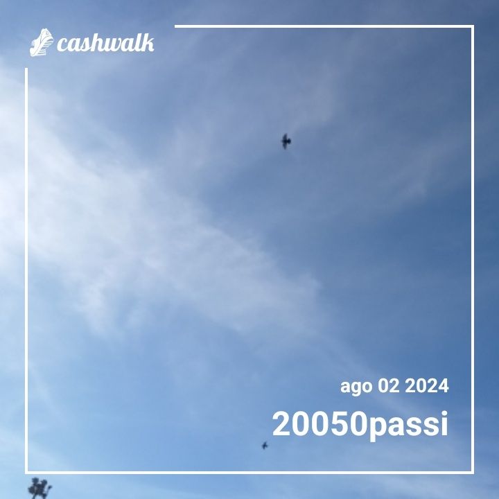 1000005141.jpg_resize