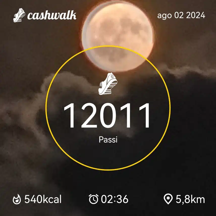 CashWalk_share_capture_20240802_993150b1-e104-4975-8a1a-67a6c3c1