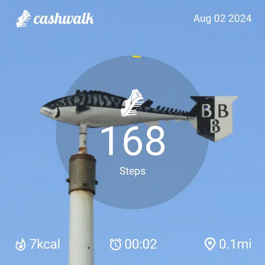 CashWalk_share_capture_20240802_d8f1f245-b212-466f-909a-846d4150