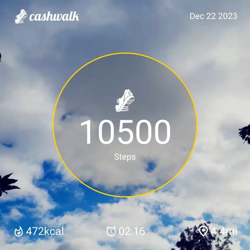 1000084907.jpg_resize