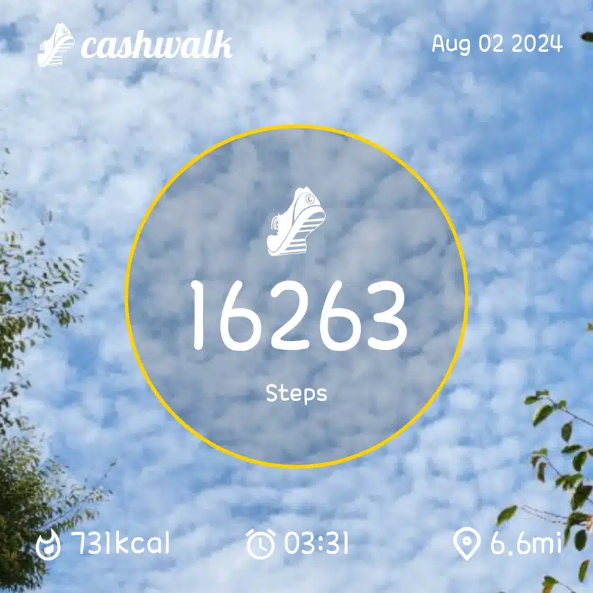 CashWalk_share_capture_20240802_46bb72eb-6d64-462d-951f-3ee4de66