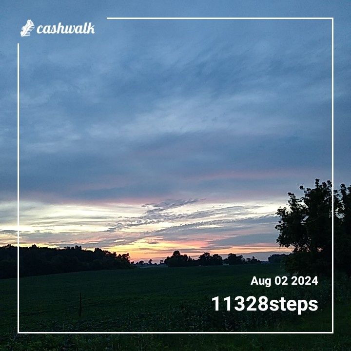 CashWalk_share_capture_20240802_684597ba-513b-4a83-9b02-b6f604b7