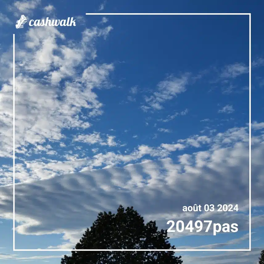 1000002447.jpg_resize