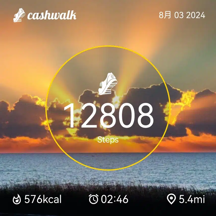CashWalk_share_capture_20240803_b49985ef-4883-47a7-87a1-fe14a3e5