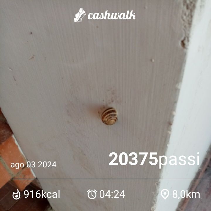 CashWalk_share_capture_20240803_c949312a-4a89-4dea-92c1-73776ab3
