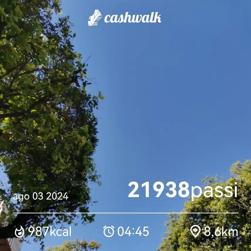 CashWalk_share_capture_20240803_227520a9-2a8e-408f-846b-c9d502ab