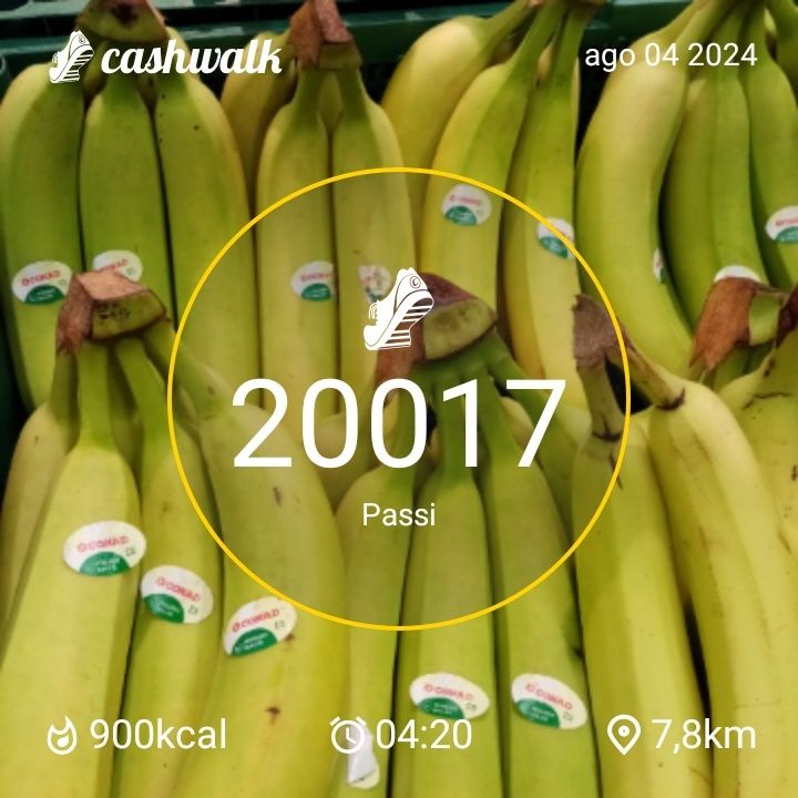 CashWalk_share_capture_20240804_2037c652-e272-43b9-b55b-dd77dc00