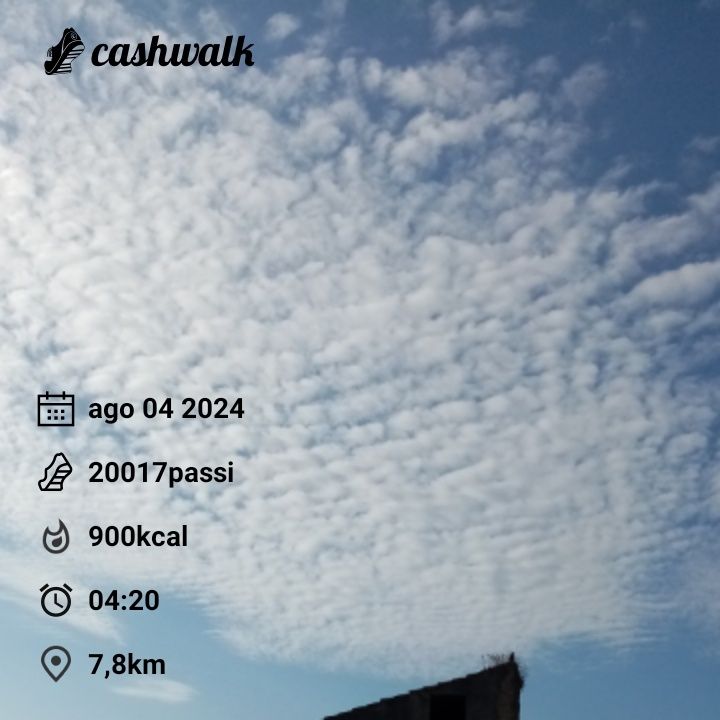 CashWalk_share_capture_20240804_85a63ab6-cd78-4b5b-b70c-c2a41c89