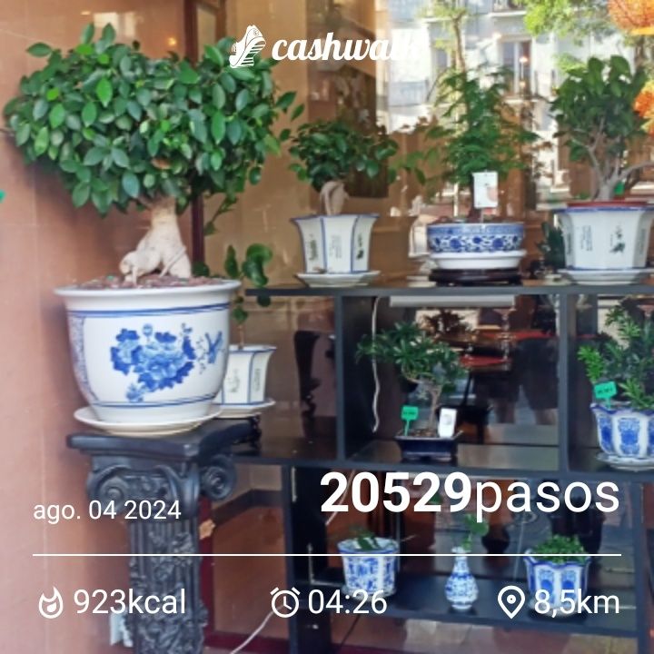 CashWalk_share_capture_20240804_be697208-62e8-43dd-8158-b0b489d3