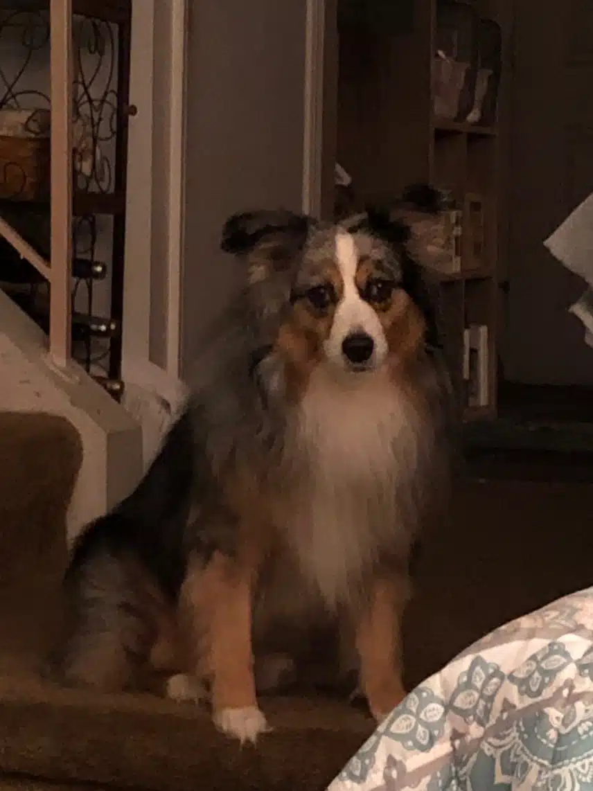 IMG_4204.jpeg_resize