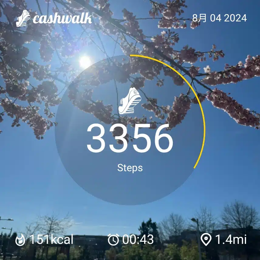 CashWalk_share_capture_20240804_da1e2bec-7811-4f8d-9da5-40dcc0f6