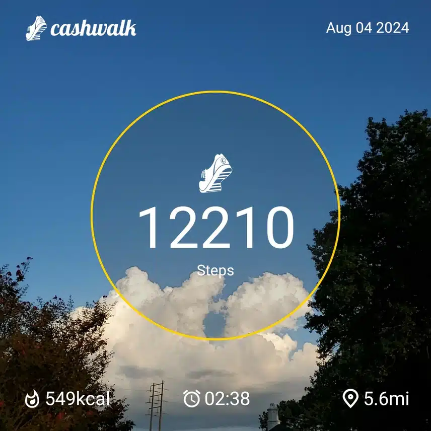 CashWalk_share_capture_20240804_7abcc6e8-95e5-4eda-8e82-b213dfd0