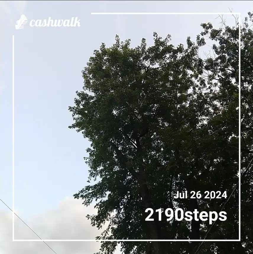 CashWalk_share_capture_20240726_cd02c55e-9e7a-4624-bb3f-1191f117
