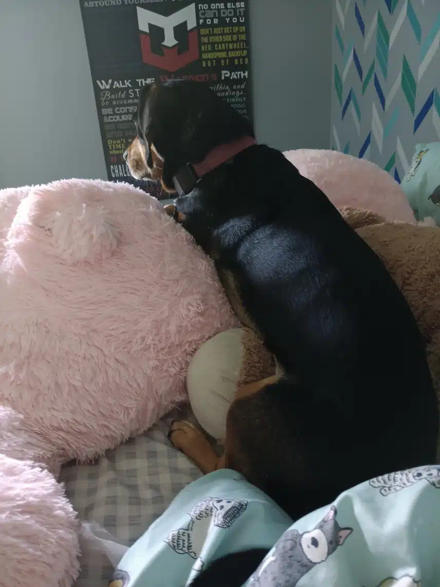 1000001058.jpg_resize