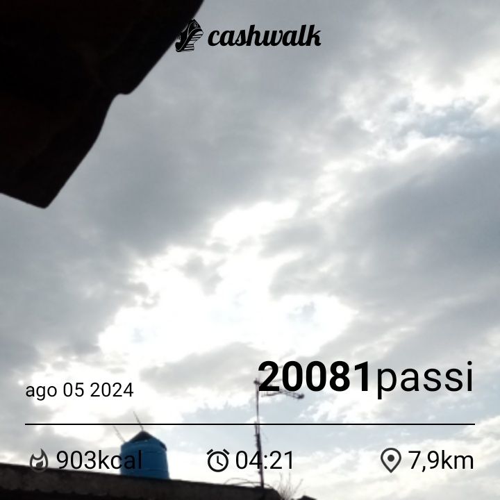 CashWalk_share_capture_20240805_b3a43f96-668f-4acd-a0e0-ff2af6e0