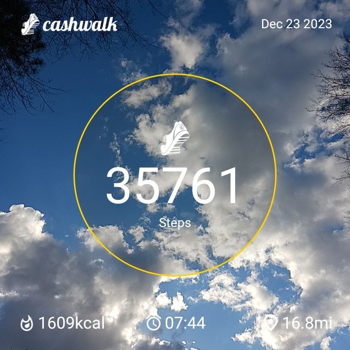 1000004211.jpg_resize