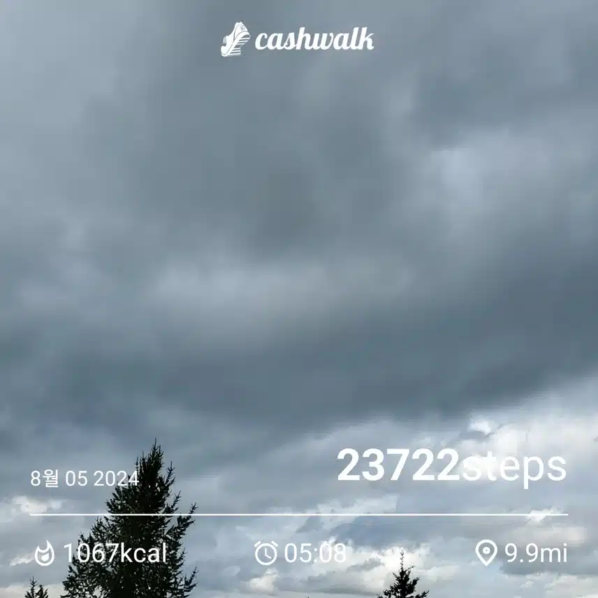 CashWalk_share_capture_20240805_b2622a53-0cfe-495b-b55f-8e9eea97