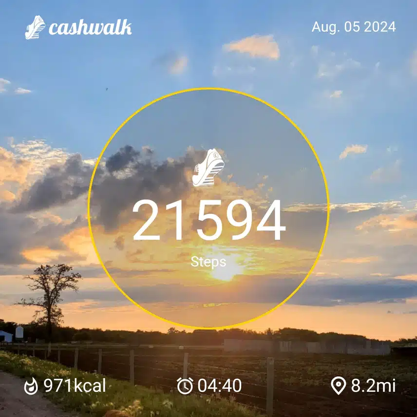 CashWalk_share_capture_20240805_530f9ec0-5346-4dd6-bd6d-f840981e