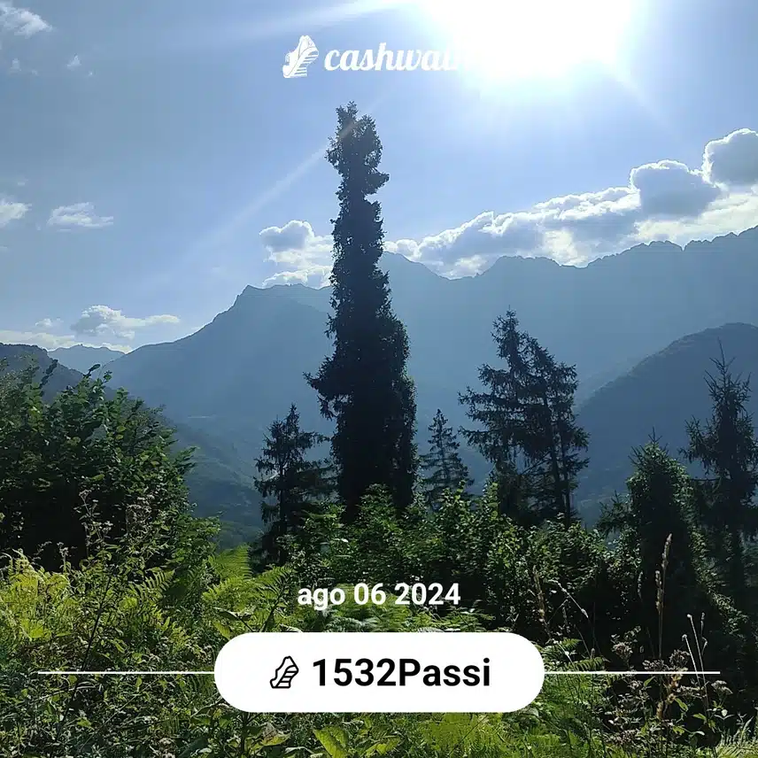 CashWalk_share_capture_20240806_b66372b3-3ba7-4413-aa2a-a4b1f66e
