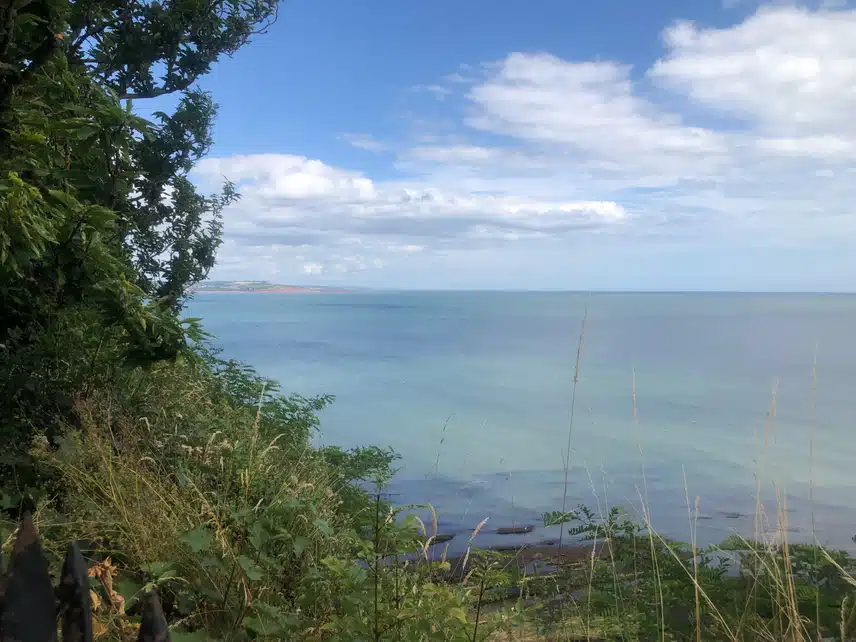 IMG_2158.jpeg_resize