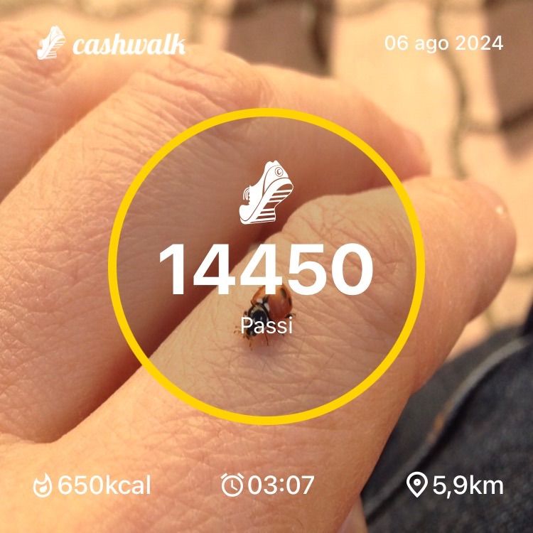 8886F56B-17A0-4D6F-9E99-4F295C29CC2E.jpeg_resize