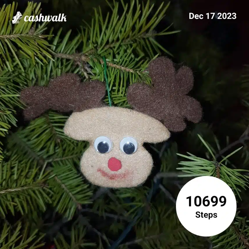 CashWalk_share_capture_20231217_592f35ae-e6f0-48db-b820-864ec828