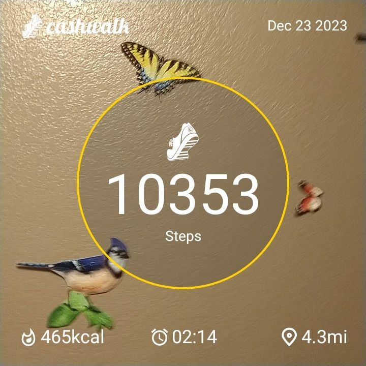 CashWalk_share_capture_20231223_c68cdffc-61ca-41ac-816c-a512f543