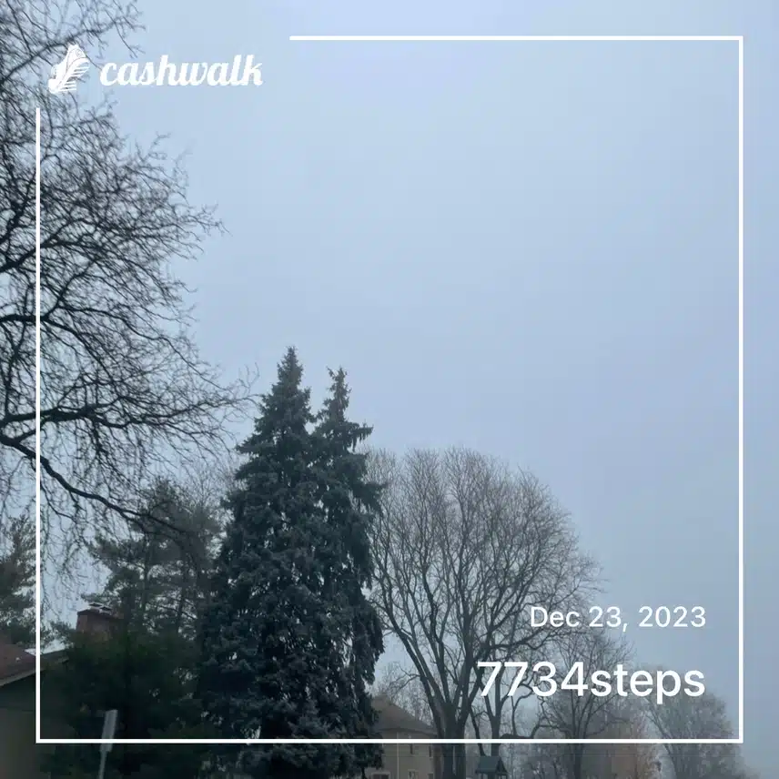 IMG_7273.jpeg_resize