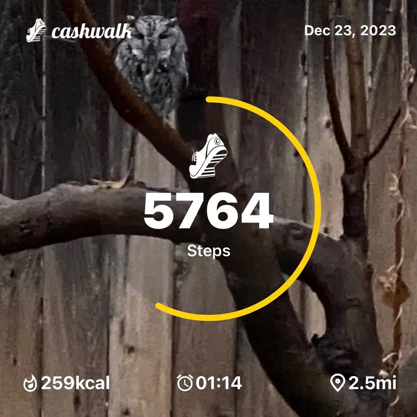 IMG_6851.jpeg_resize