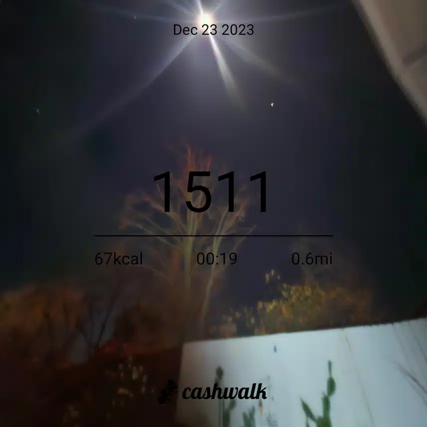 1000005342.jpg_resize