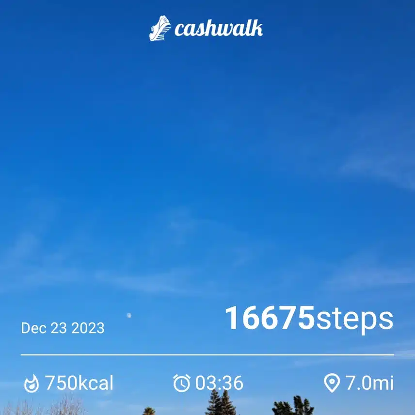 1000004609.jpg_resize