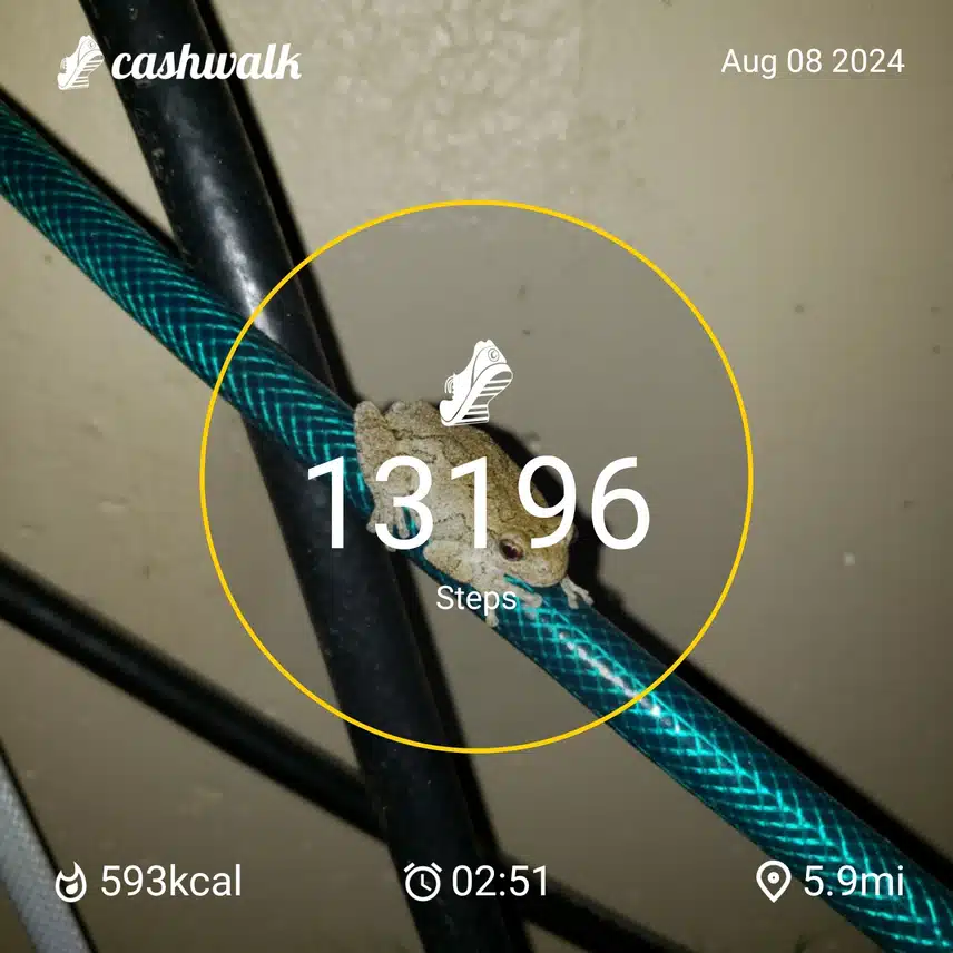 CashWalk_share_capture_20240808_68238412-8f82-48ae-b0fa-dddd2faf