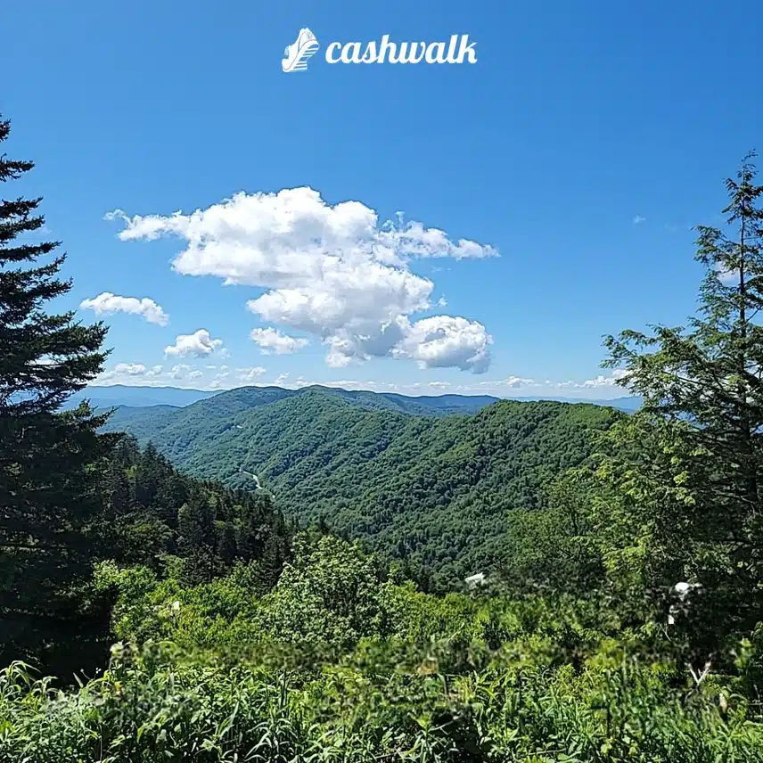 1000030601.jpg_resize