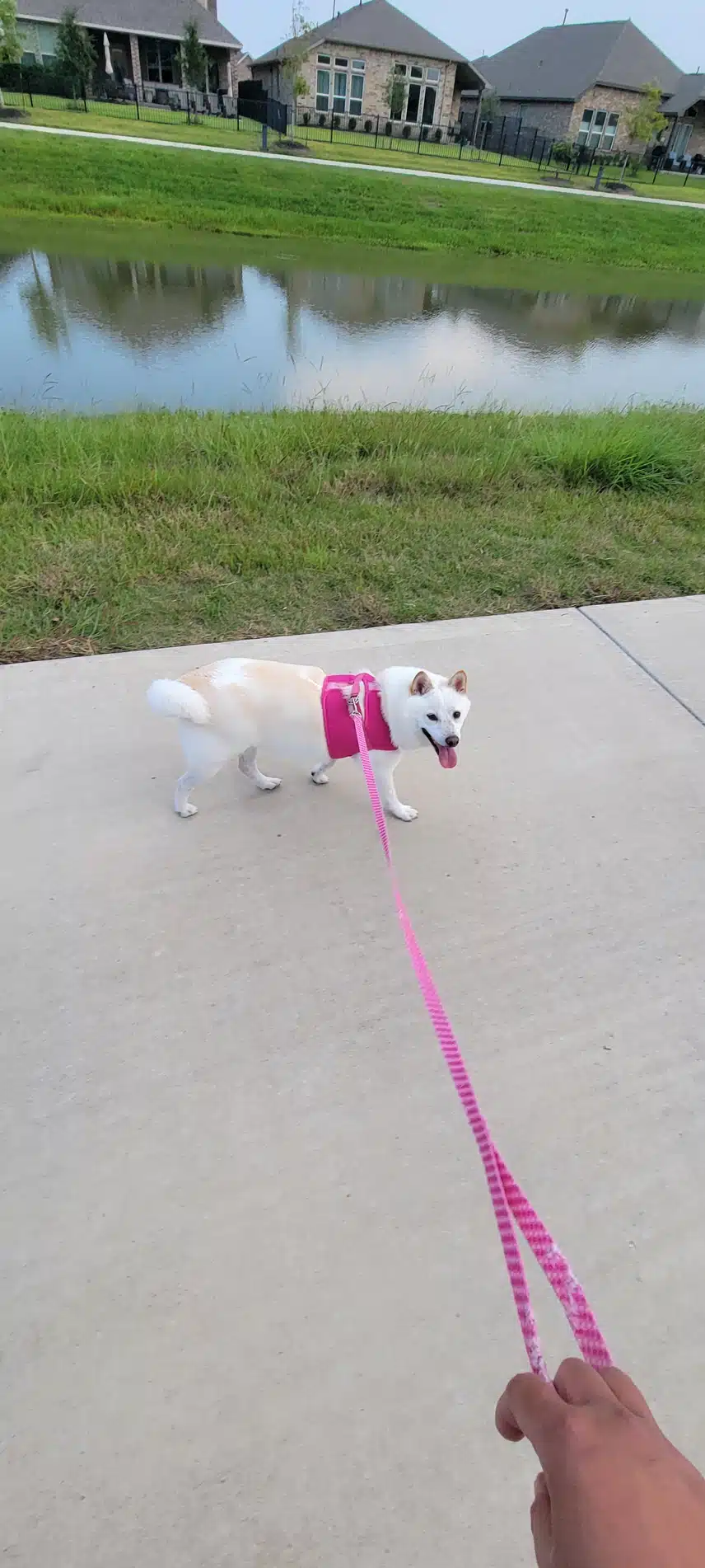 1000033049.jpg_resize