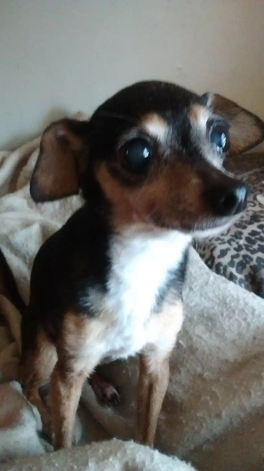 1000000646.jpg_resize