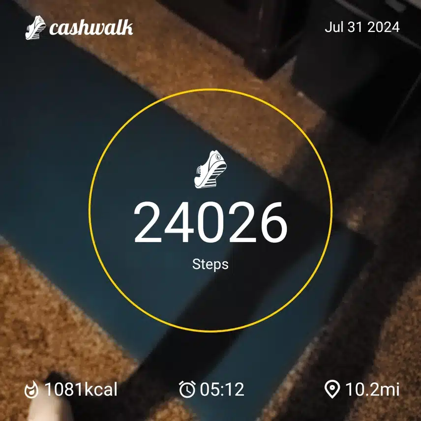 CashWalk_share_capture_20240731_bcb4b91a-03c3-4a5c-bc50-626b7c94
