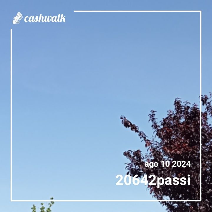 1000005243.jpg_resize