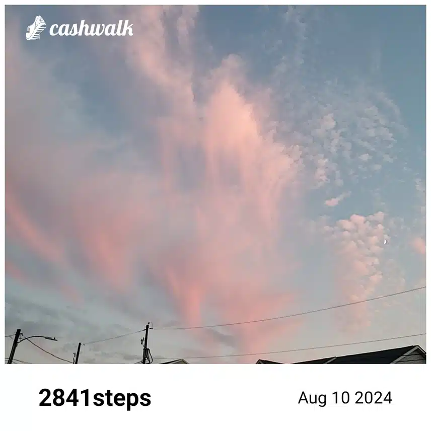 CashWalk_share_capture_20240810_aca9ea93-2fbf-4f74-9504-0c4d0c29