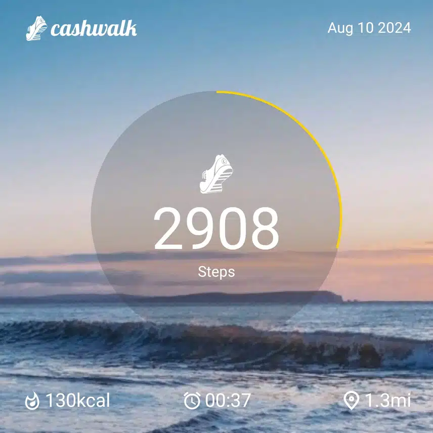 CashWalk_share_capture_20240810_7bd5d417-5322-41a3-b4ce-0fc3104f