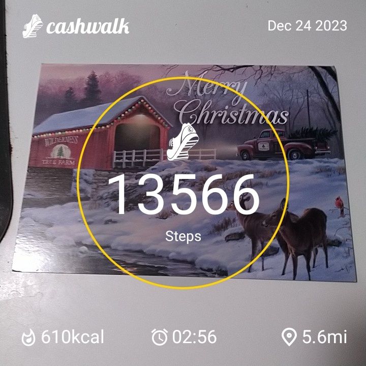 CashWalk_share_capture_20231224_76feba35-0ec7-42a6-8184-2e527134