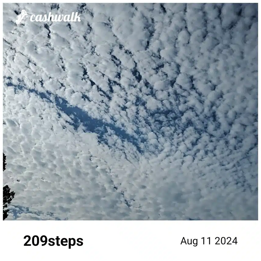 CashWalk_share_capture_20240811_5ad4757d-8f7f-4532-b4dd-7ca36d3b