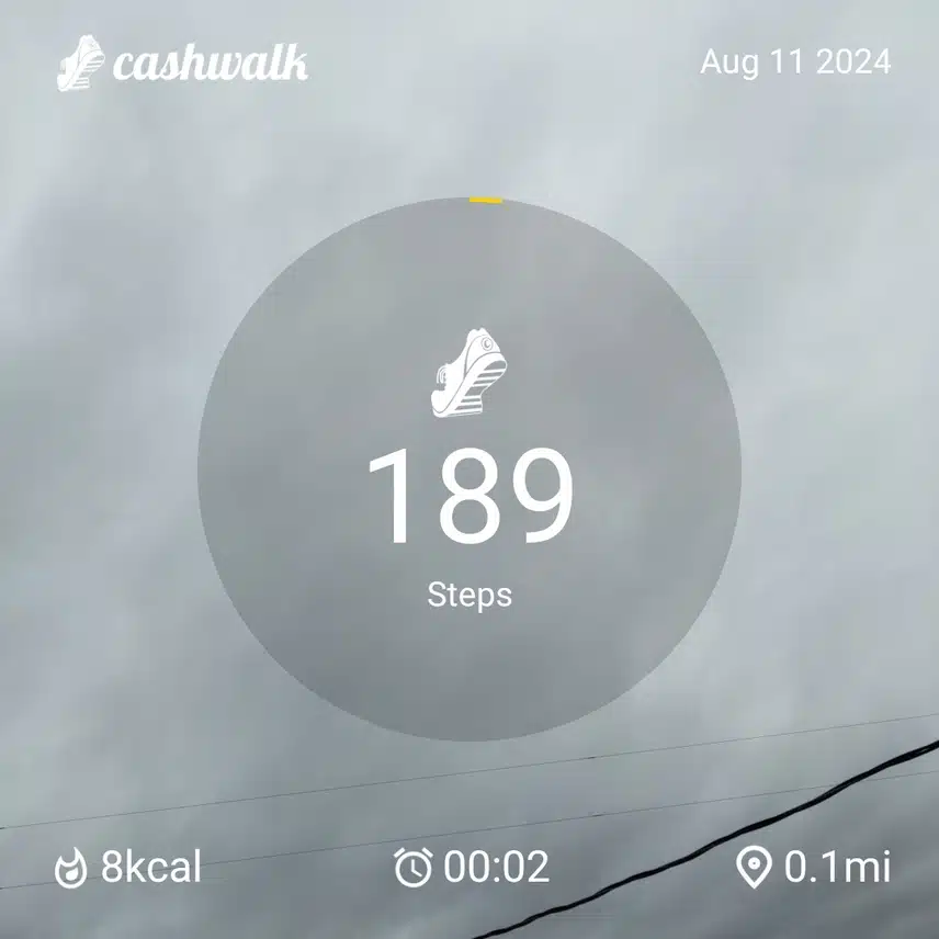 1000006213.jpg_resize