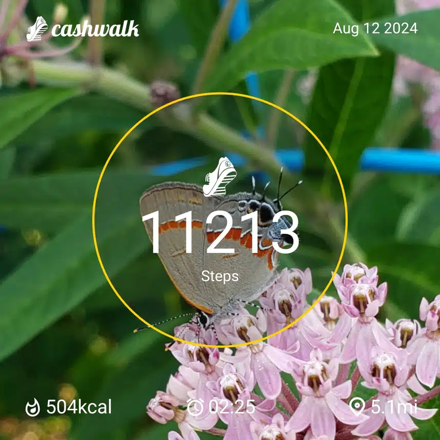 CashWalk_share_capture_20240812_fbbfec19-54f1-44e4-9c61-9be5a032