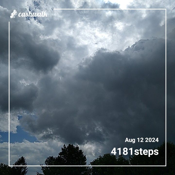 CashWalk_share_capture_20240812_f75124f6-62de-43d7-8c6f-51b231b1